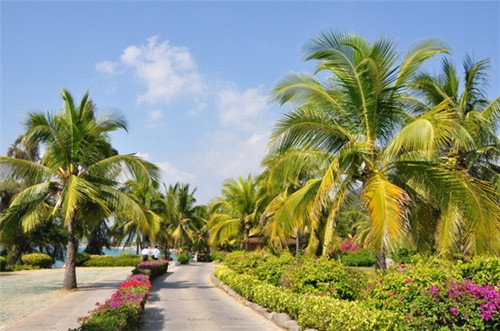 城固最好吃的面皮，城固县凉皮加盟店哪家好