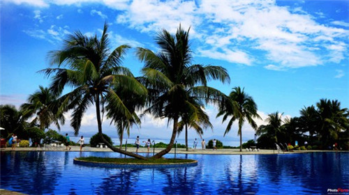 荷泽市加盟饮朵拉大杯茶市场前景如何