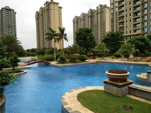 蚂蚁的十大刑法是什么（蚂蚁几种）