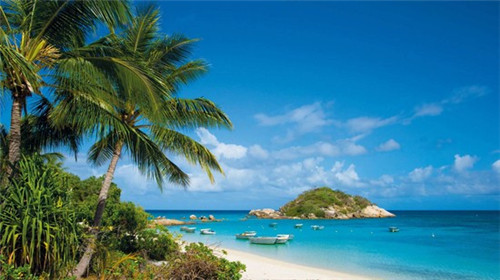 花旗油能炒菜吃吗怎么炒（花旗油好不好）