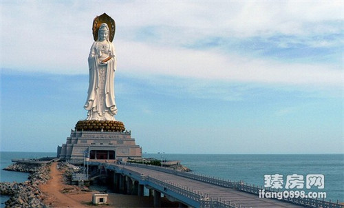 乌贼鱿鱼炒好吃还是不炒（乌贼鱿鱼炒好吃还是不炒好吃）