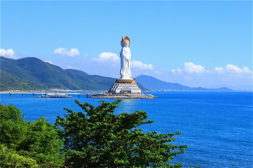 卧龙香樟旅游景点（卧龙湖小镇香樟园）